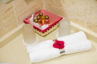 Отель Boutique Hotel Deluxe Каменец-Подольский Двухместный номер Делюкс с 1 кроватью или 2 отдельными кроватями-24